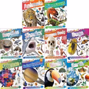 Dk Findout Series With Fun Facts And Amazing Pictures 10 Books Collection Set - Image 2